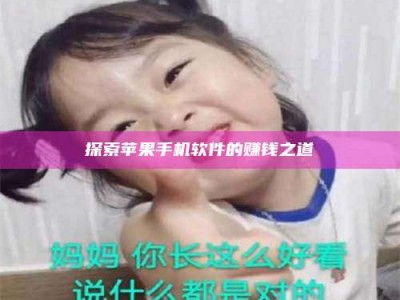 天水探索苹果手机软件的赚钱之道